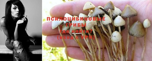 прущие крисы Нефтекумск
