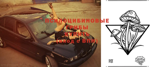 прущие крисы Нефтекумск