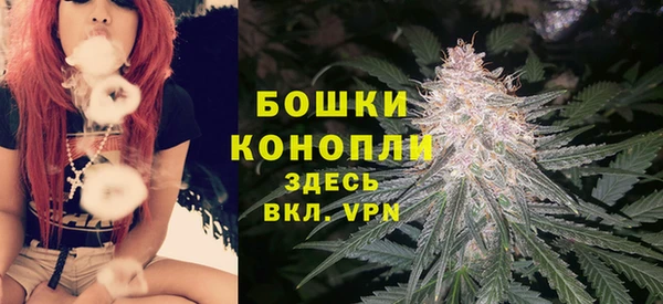 прущие крисы Нефтекумск