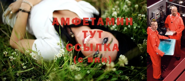 дурь Нея