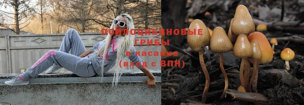 дурь Нея