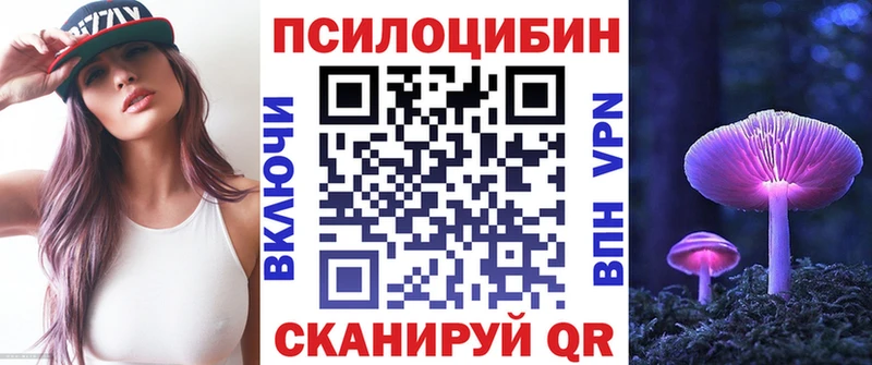 Галлюциногенные грибы Cubensis  где купить   Дербент 